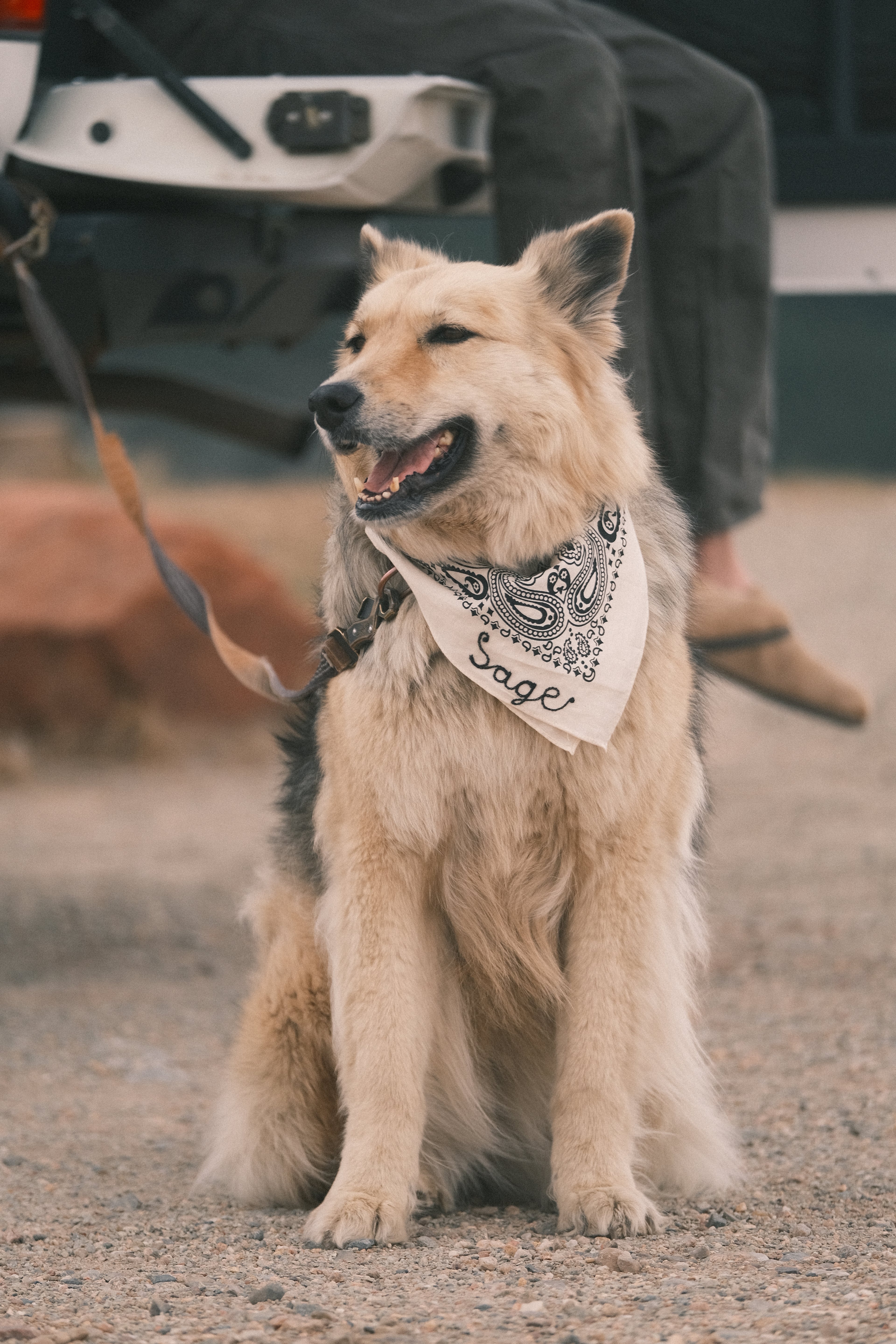 Custom Chainstitched Bandana