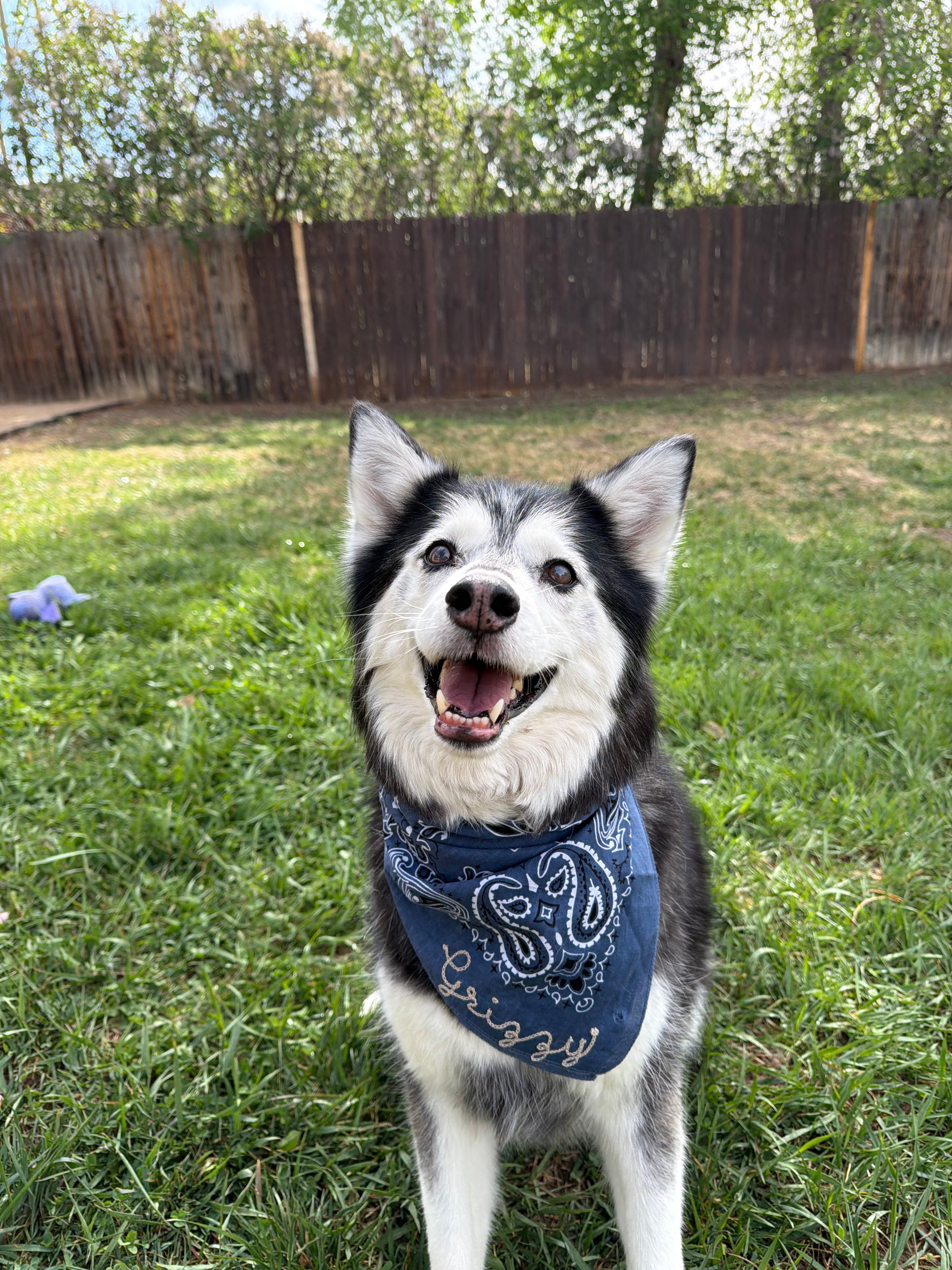 Custom Chainstitched Bandana