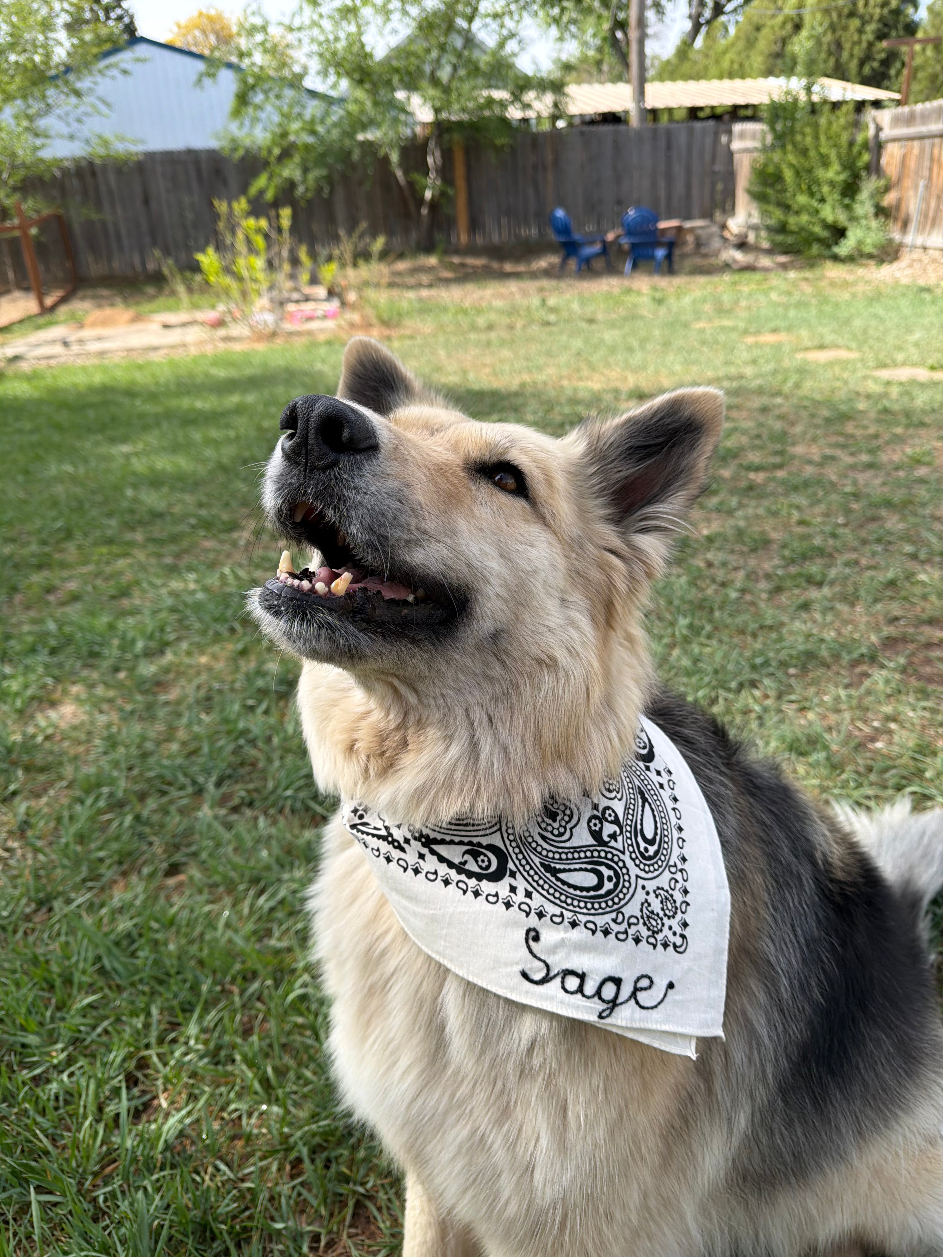 Custom Chainstitched Bandana